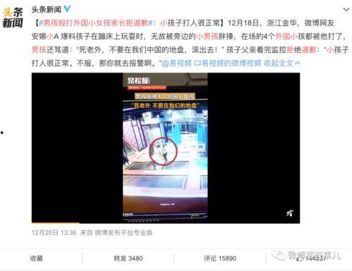 江西男孩事件爆料视频大全,揭开真相背后的重重疑云  第3张